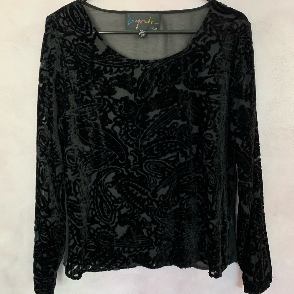Urban Outfitters Velvet Sheer Long Sleeve Top